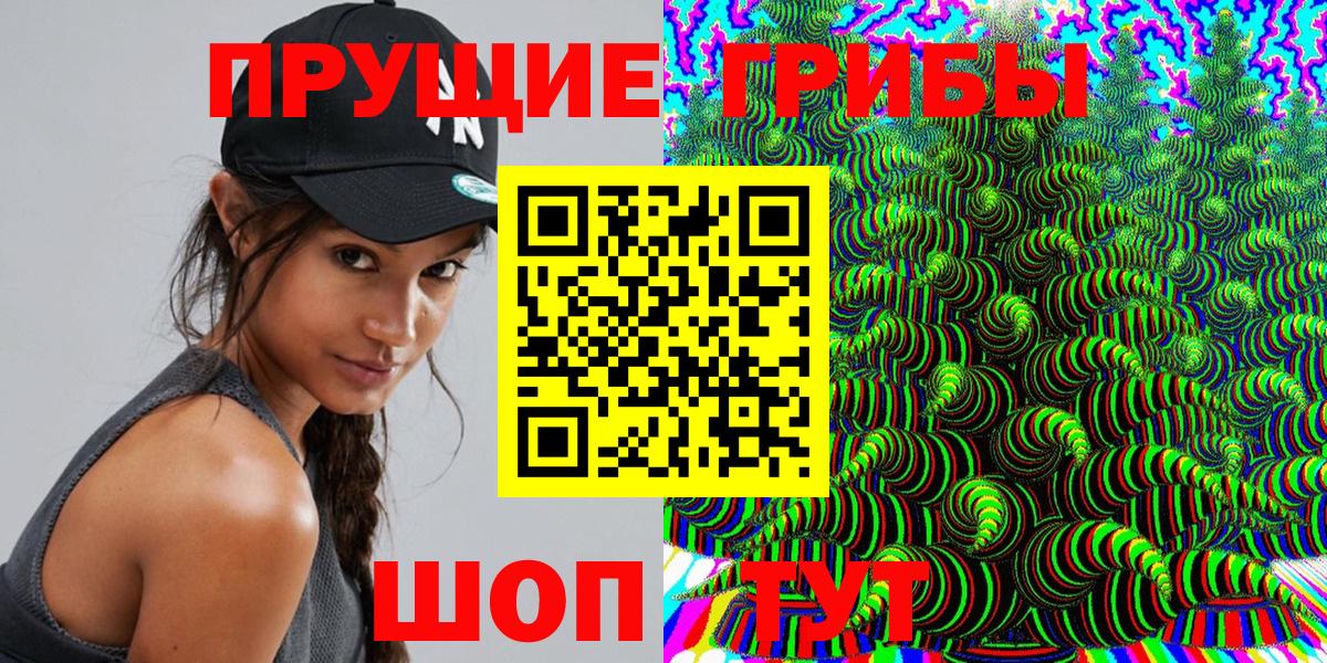 где найти наркотики  Псилоцибиновые грибы прущие грибы  Вход с VPN  Хабаровск 
